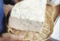 فروش پنیر سنتی